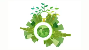 Which Scenario Describes a Renewable Resource Being Used For Energy