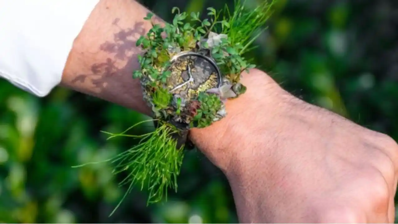 Image showcasing 7+ Best Sustainable Luxury Watches To Buy Today | Sustainoverse