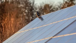 Best Angle for Solar Panels