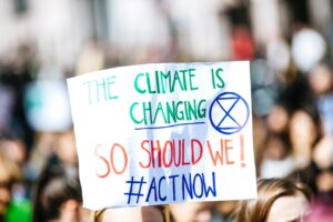 COP27 and climate action