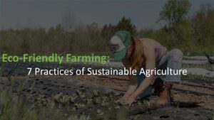 7 Practices of Sustainable Agriculture