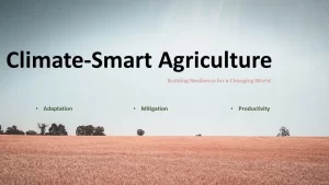Climate-Smart Agriculture