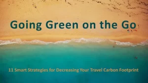 Travel Carbon Footprint