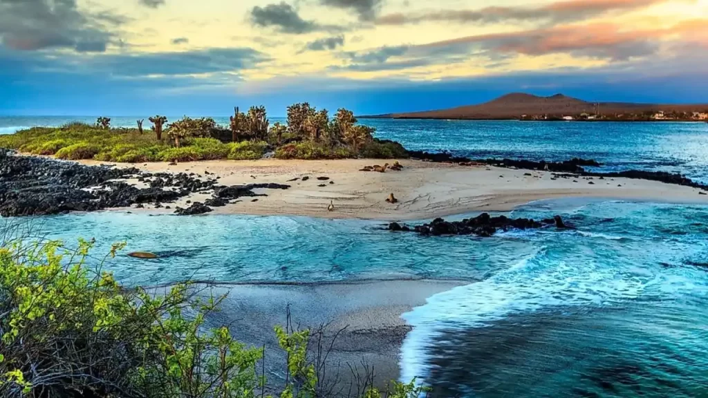Galápagos Islands, Ecuador