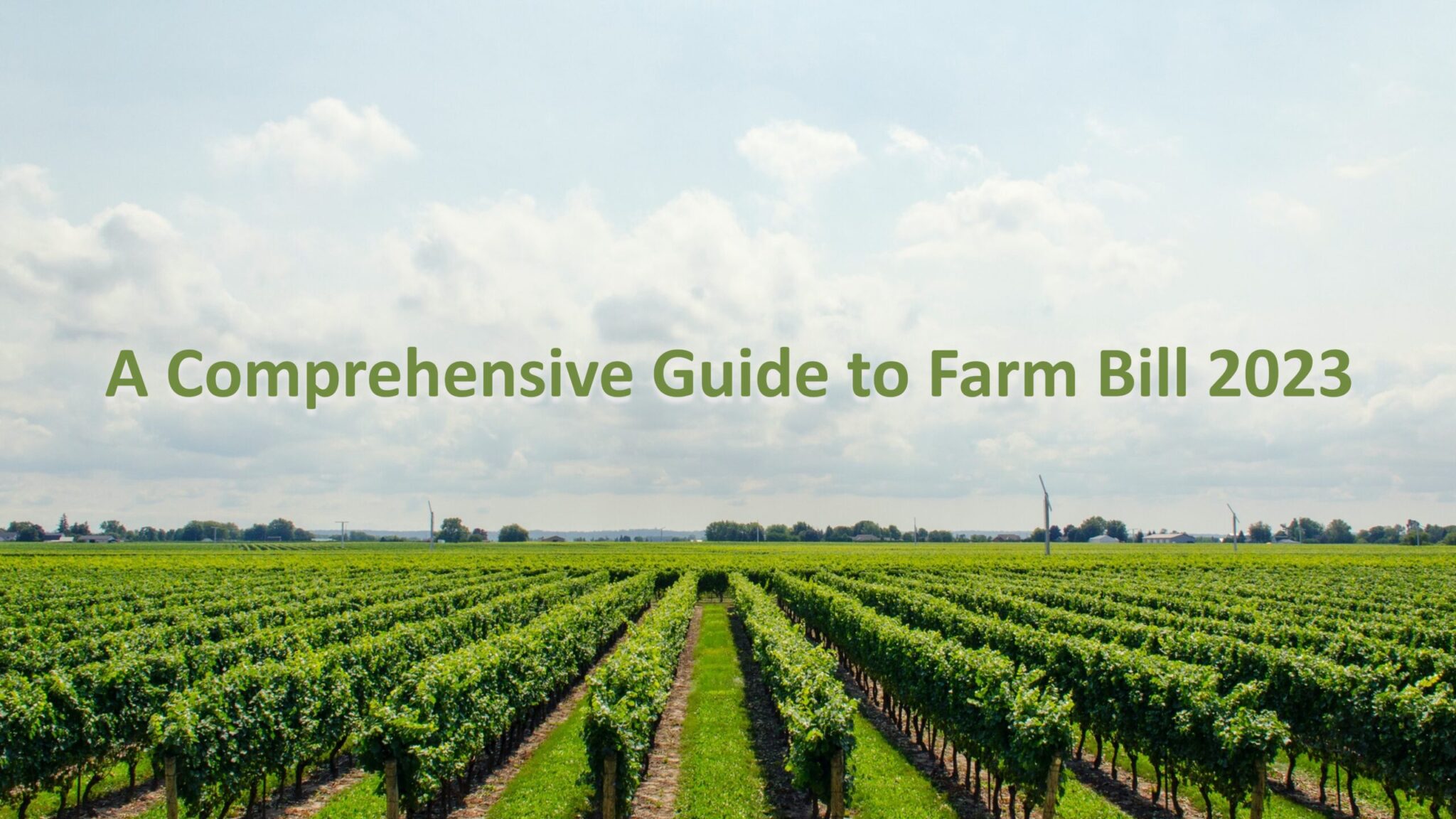 A Comprehensive Guide to Farm Bill 2023 The Latest Updates Sustainoverse