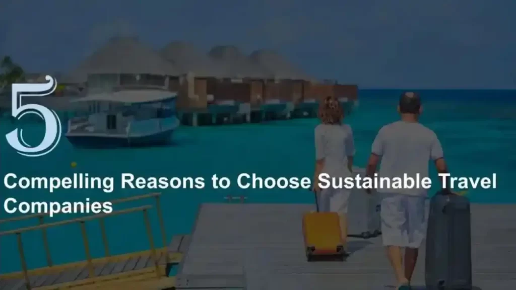 Sustainable Travel Companies