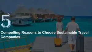Sustainable Travel Companies
