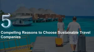 Sustainable Travel Companies