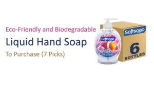 Sustainable & Biodegradable Liquid HandSoaps