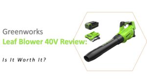 Greenworks Leaf Blower 40V
