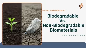 Visual Comparison of Biodegradable Vs. Non-Biodegradable Biomaterials