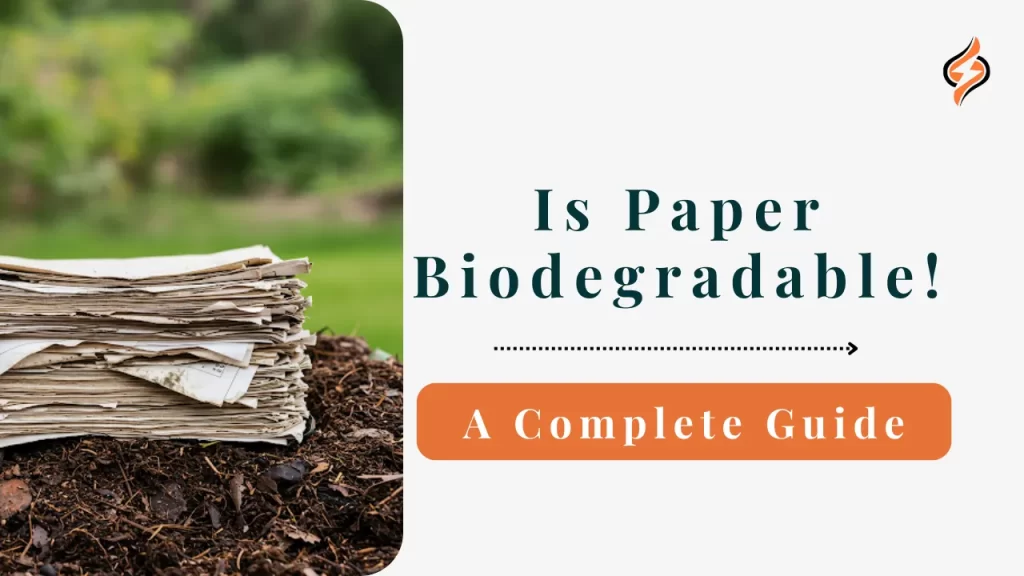 is paper biodegradable