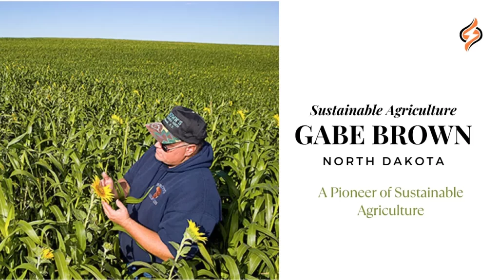 Economic Benefits of Sustainable Agriculture