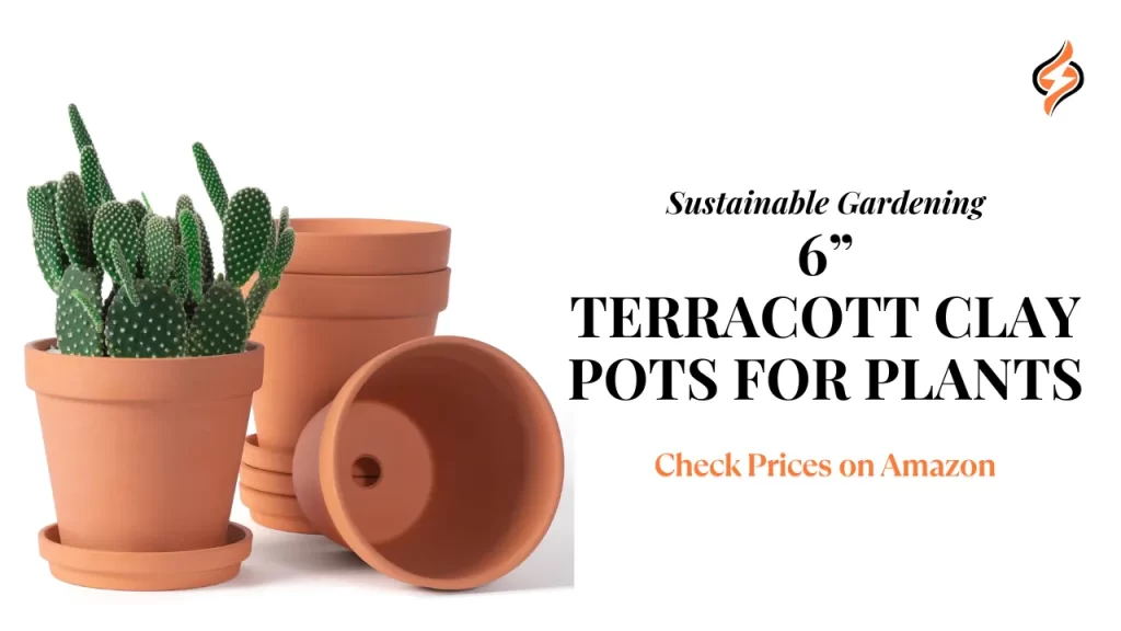 6 inch Terracotta & Clay Pots for Plants with Saucer