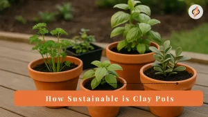 How Sustainable Is Clay Pots