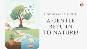 Biodegradable Urns
