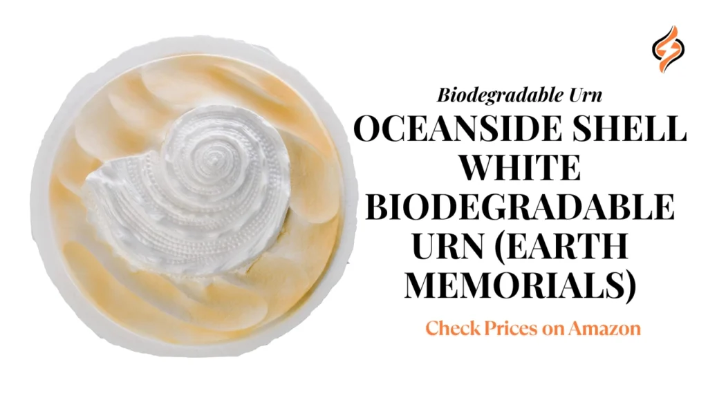Oceanside Shell White Biodegradable Urn (Earth Memorials)